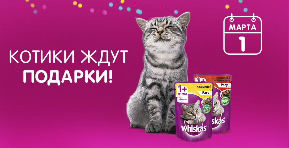 Подарок для котенка от Royal Canin | resses.ru